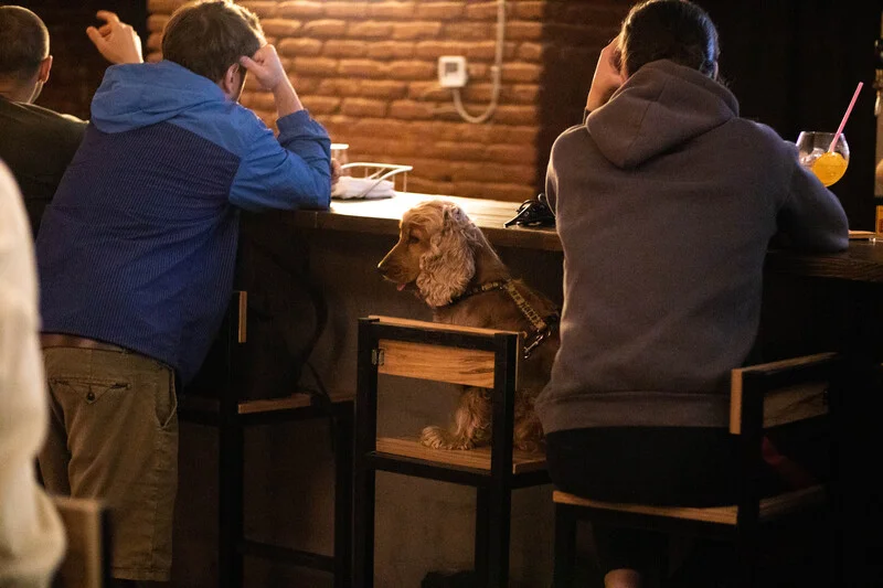 Photo from Tbilisi Rust Day #167